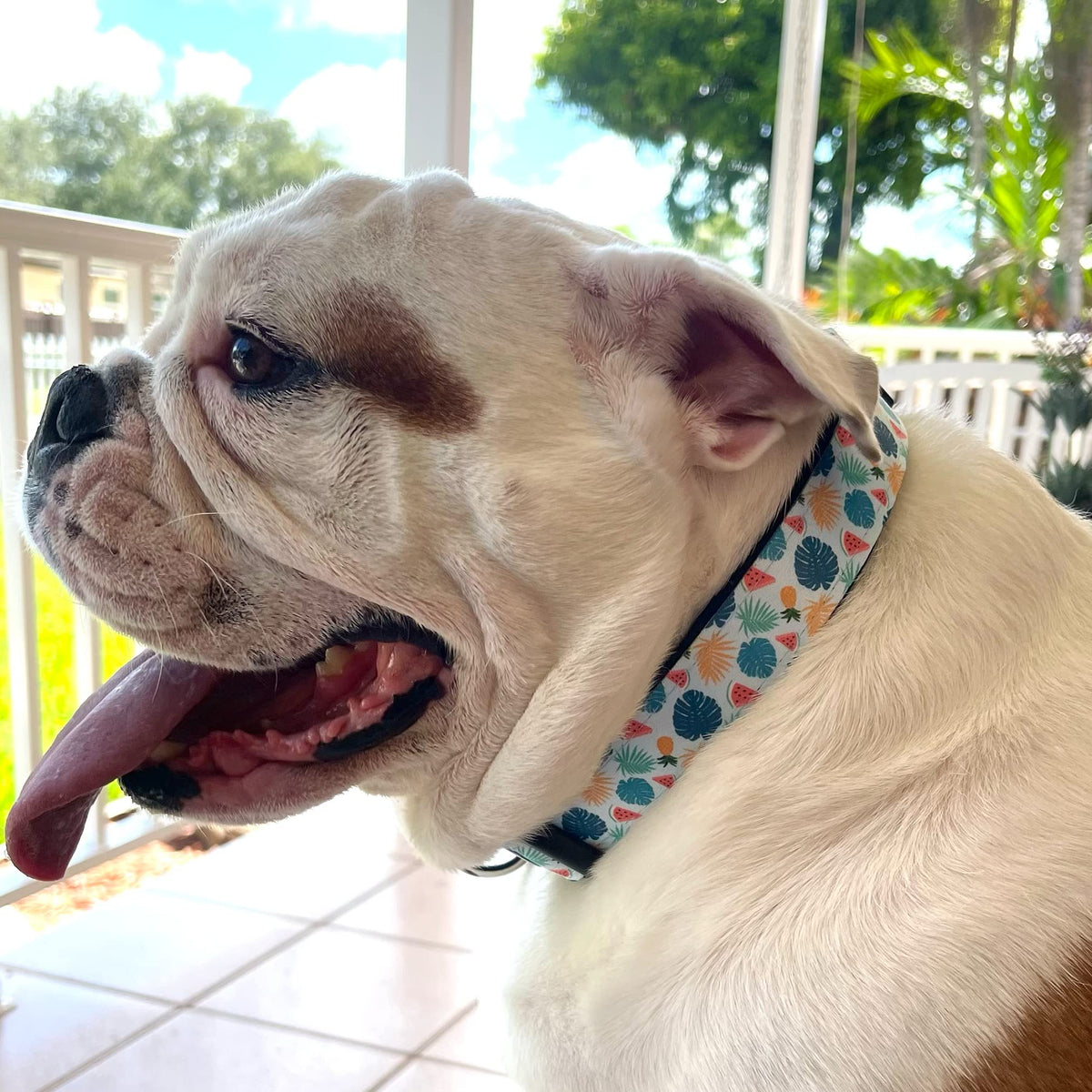 Dog Collar Tropical Floral Hawaii Personalized Soft Comfortable Adjustable Basic Collars for Small Medium Large Dogs Walking Running Training (Large, Donut)