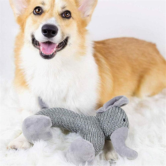 From Chewsday to Sunday: Why Your Pup’s Toy Rotation Is the Real Flex