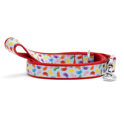 Fashionable Jelly Beans Leash for Dogs, Woven Ribbon, Solid Nickel Plated D-Ring, Blue, Small