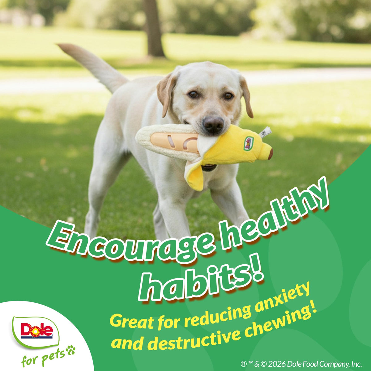 Dog Puzzle Toy with Squeaker, Banana Snuffle Dog Treat Toy for Small and Medium Dogs, Dog Enrichment Toys