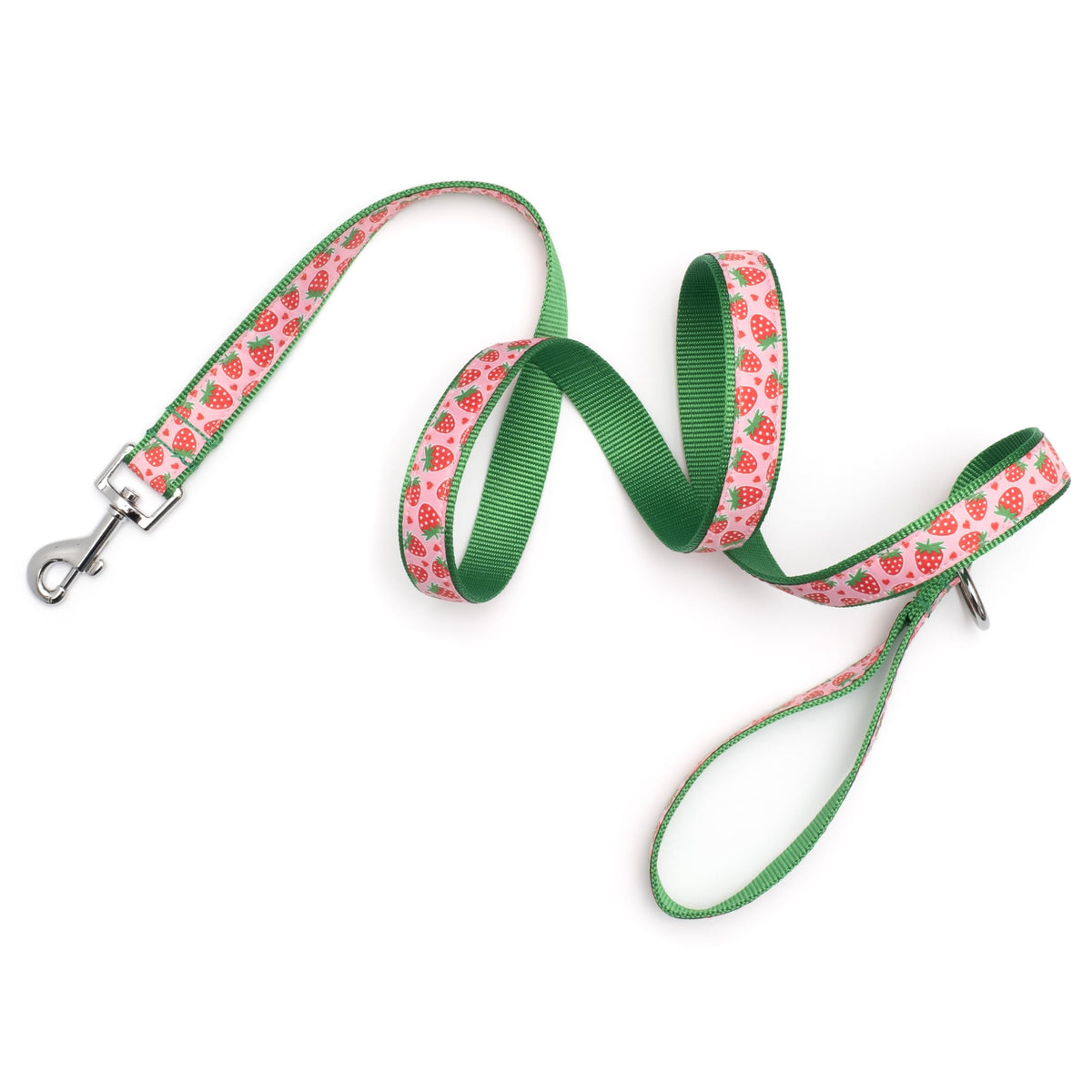 Stylish & Fashionable Mushrooms Dog Leash, Nylon Webbing, 5 Ft Length, Mint, Large