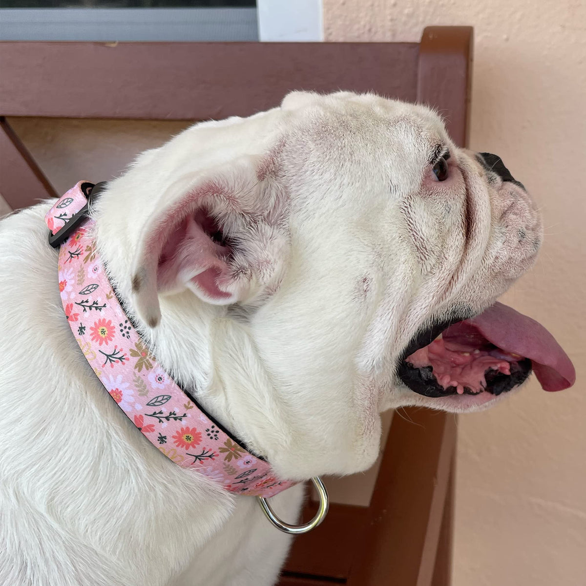 Dog Collar Tropical Floral Hawaii Personalized Soft Comfortable Adjustable Basic Collars for Small Medium Large Dogs Walking Running Training (Large, Donut)