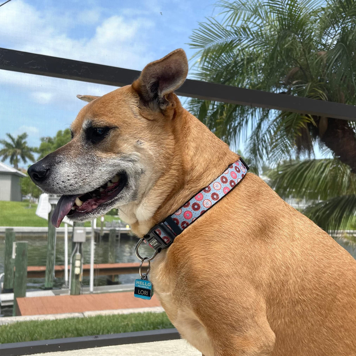 Dog Collar Tropical Floral Hawaii Personalized Soft Comfortable Adjustable Basic Collars for Small Medium Large Dogs Walking Running Training (Large, Donut)